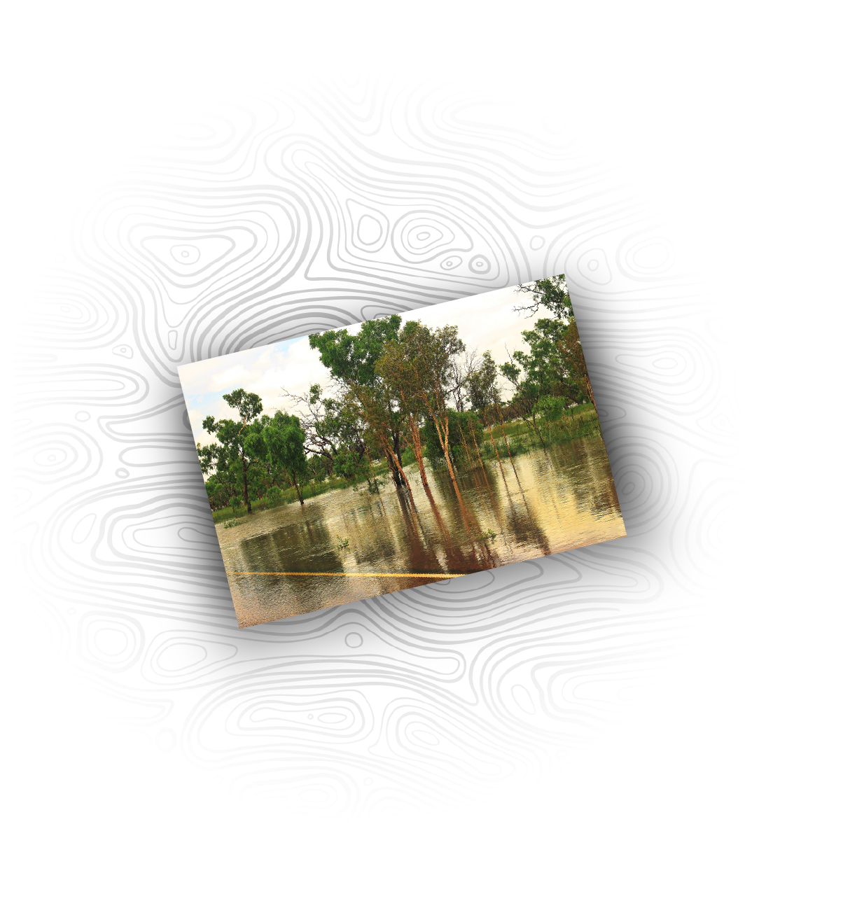 Image of the flooded bush during wet season