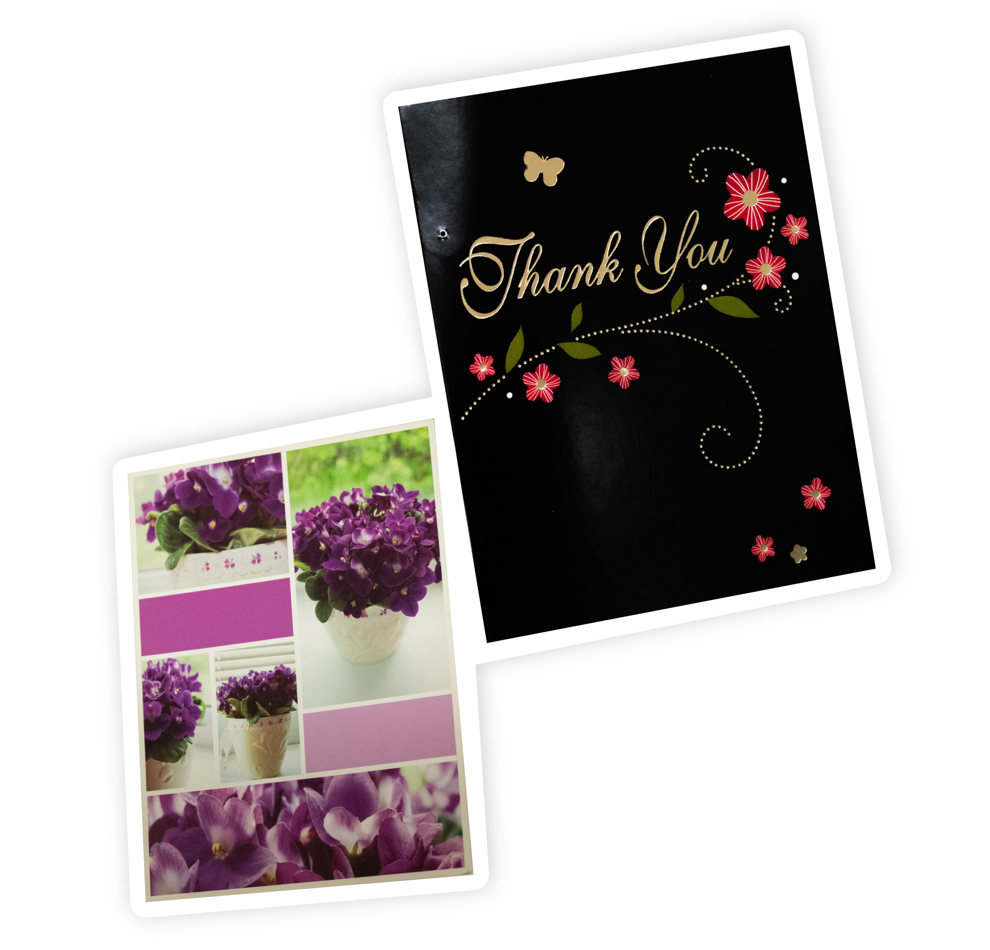 Pictures the front of two thank you cards given by those helped by the SCALES clinic