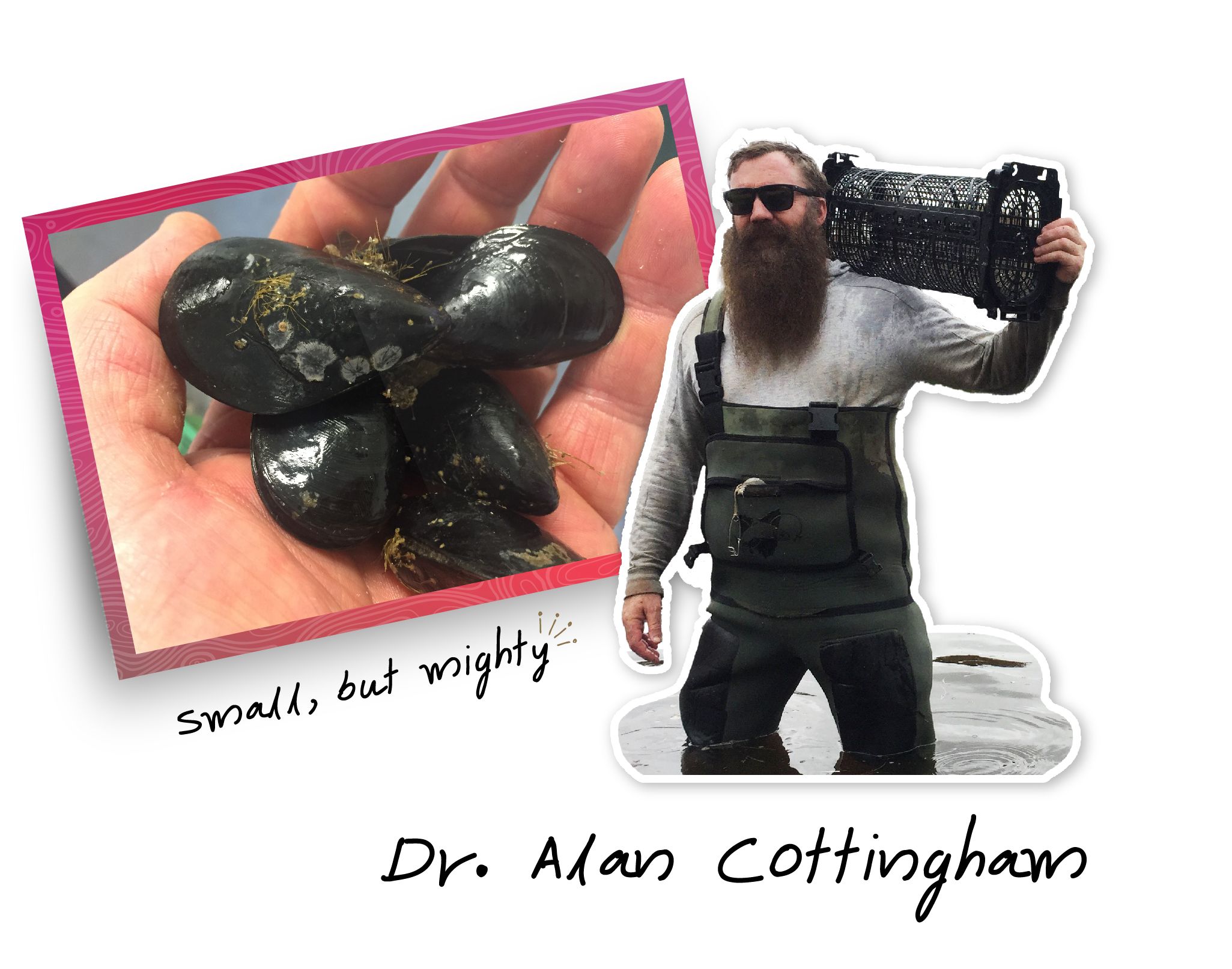 Image of Dr Alan Cottingham with the small but mighty mussels
